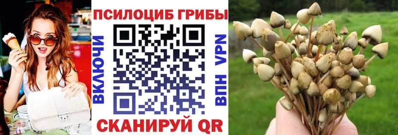 Галлюциногенные грибы прущие грибы как найти МЕГА зеркало даркнет Telegram Таганрог