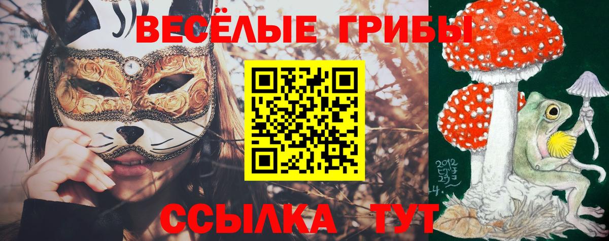 Галлюциногенные грибы ЛСД Таганрог