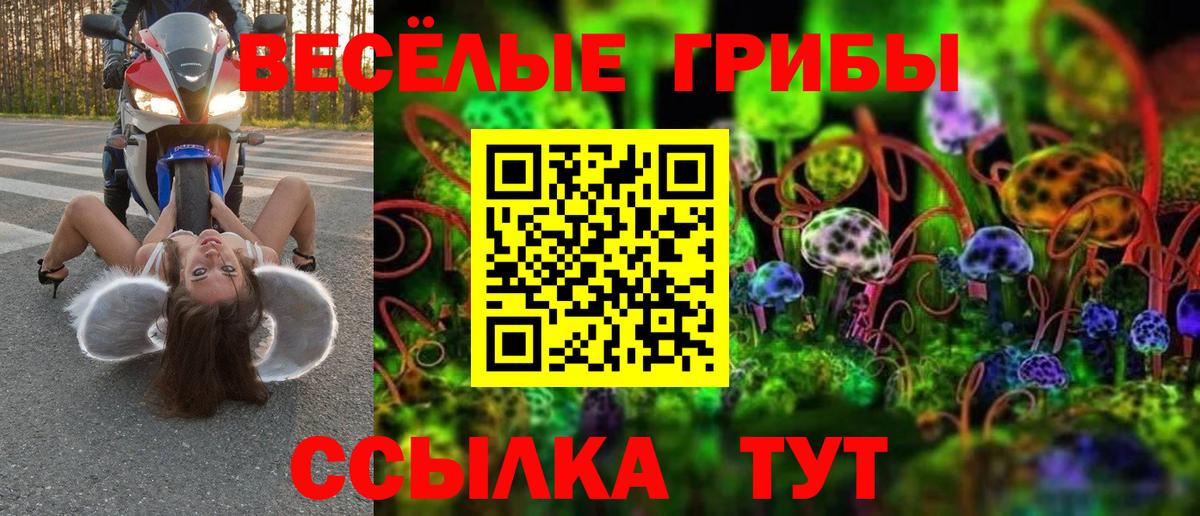 Таганрог  Галлюциногенные грибы MAGIC MUSHROOMS  Вход с VPN  Галлюциногенные грибы прущие грибы 